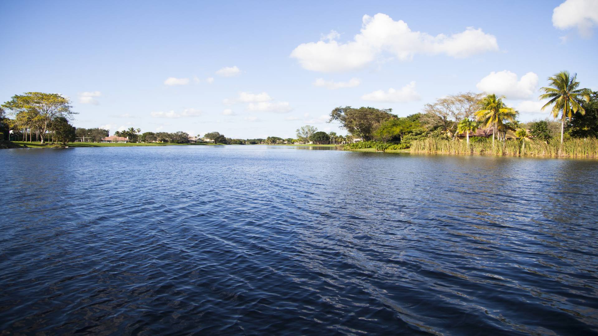 Cypress Estates Parkland Condos for sale and rent