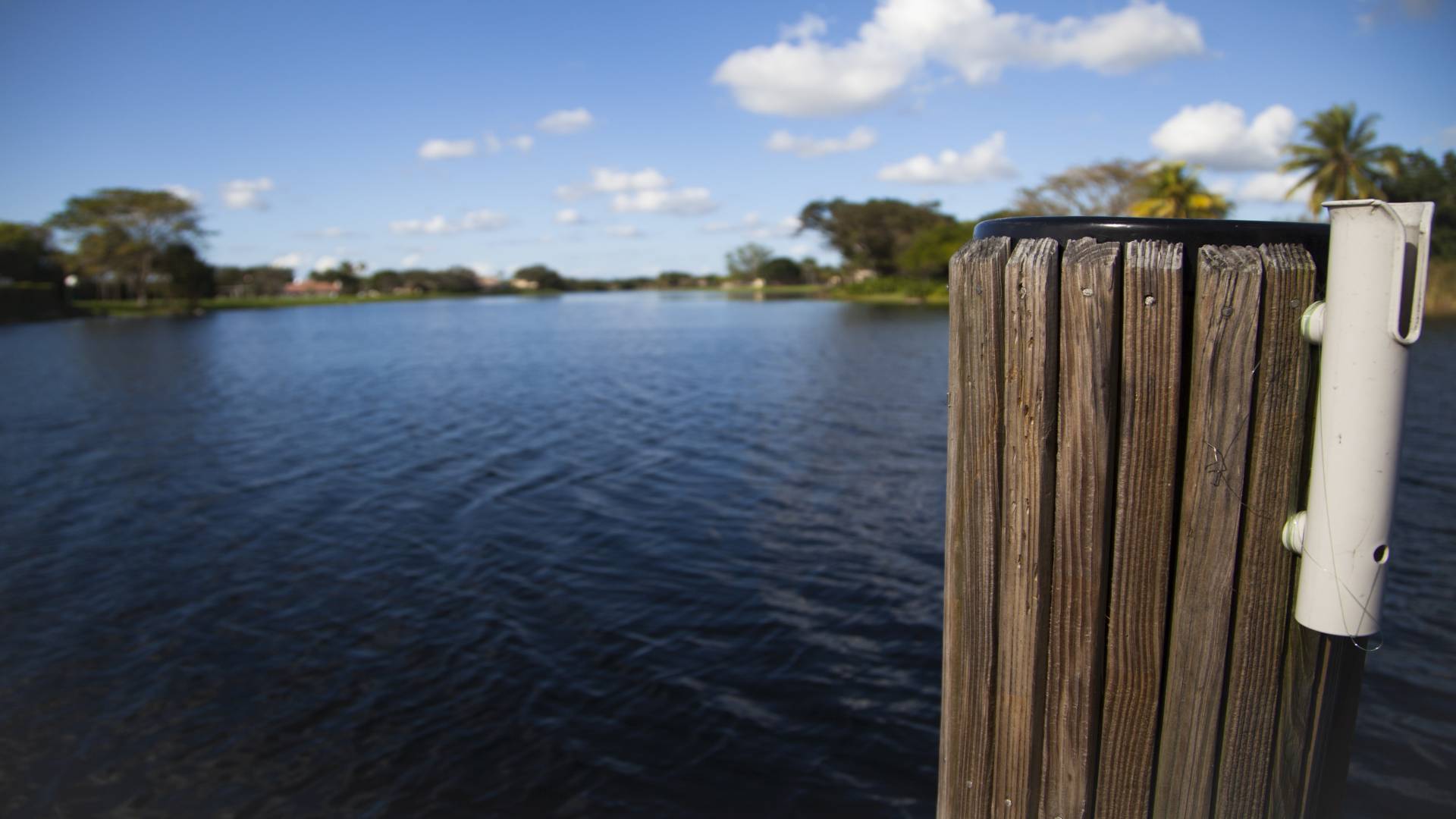 Cypress Estates Parkland Condos for sale and rent